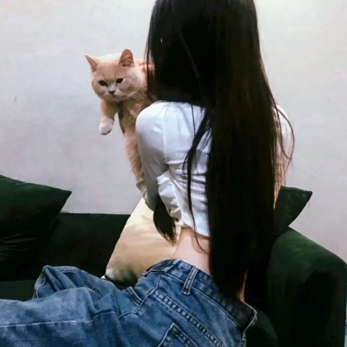 完美谋杀案
